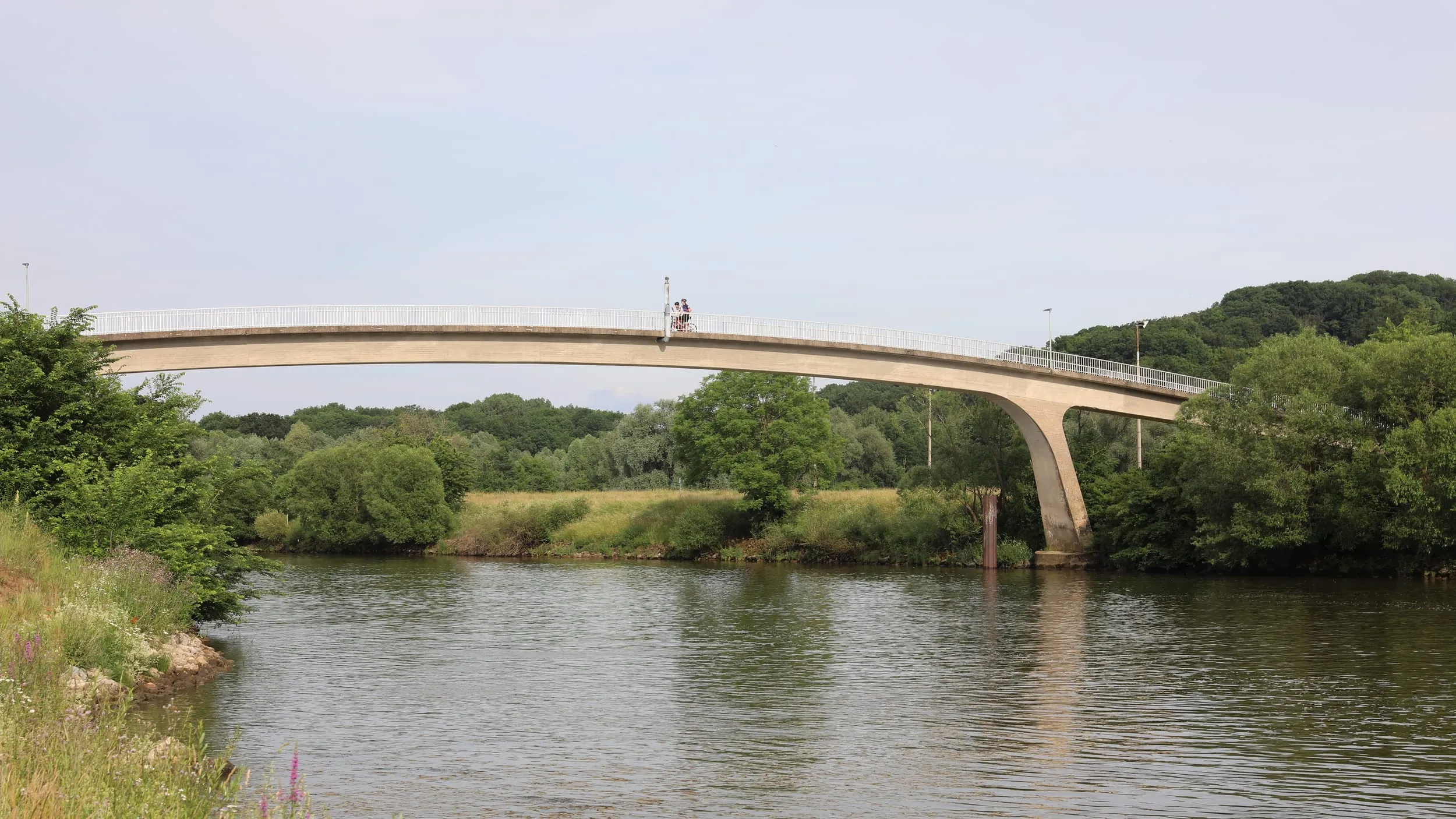 Der Mainsteg bei Untereuerheim, eine schlanke Bogenbrücke über den Main.